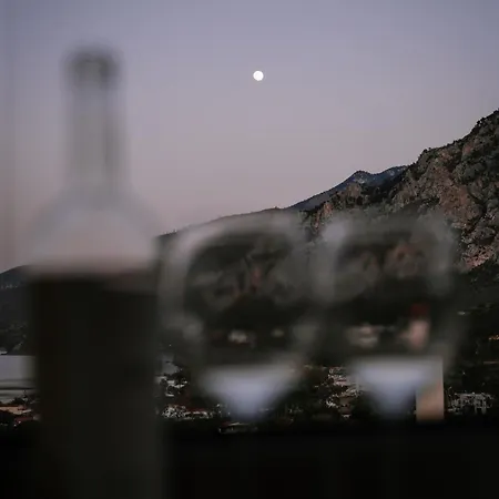 Petrino Sxinos Villa *