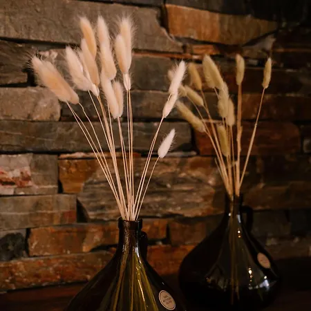 Villa Petrino Sxinos *