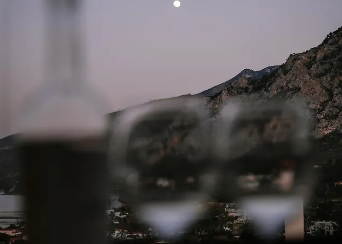 Petrino Sxinos Villa *