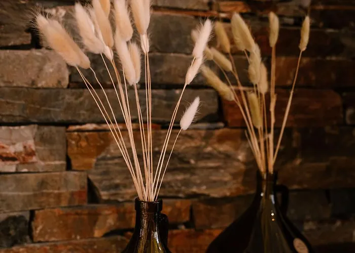 Villa Petrino Sxinos *